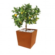 18480 - casa planter - with plants - 410x410x405